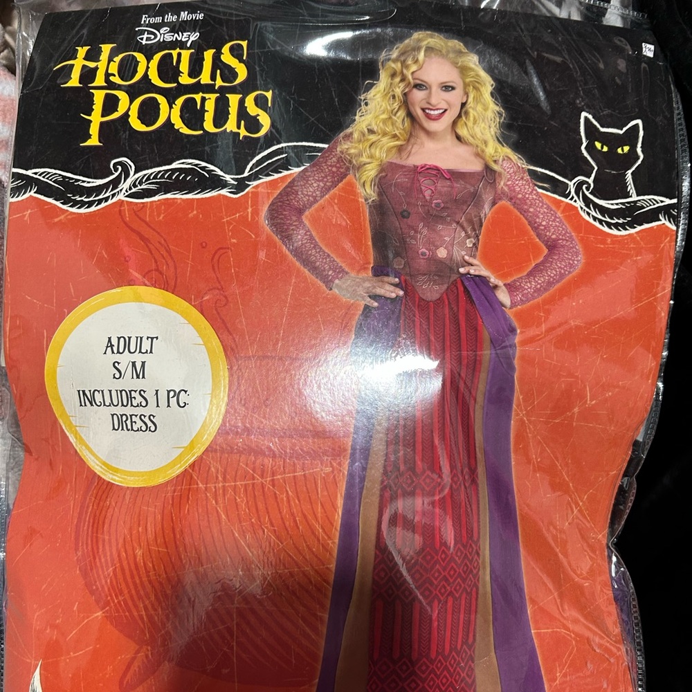 Sarah Sanderson Costume
